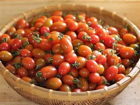 Cà Chua Cherry Đỏ Đà Lạt